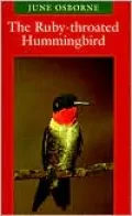 The Ruby-Throated Hummingbird