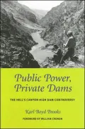 Public Power Private Dams