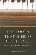 The Tooth That Nibbles at the Soul: Essays on Music and Poetry (Literary Conjugations)