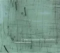 Christopher Wilmarth: Drawing into Sculpture