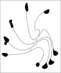 The Surreal Calder