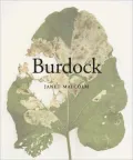 Burdock