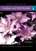 Climbers and Wall Shrubs: Instant Reference to More than 250 Plants