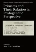 Primates And Their Relatives In Phylogenetic Perspective