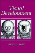 Visual Development