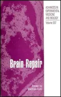 Brian Repair