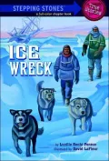 Ice Wreck