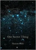 One Secret Thing