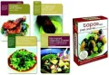 Tapas Deck: 50 Little Dishes That Capture the Essence of Spanish Cooking