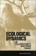 Ecological Dynamics on Yellowstone's Northern Range