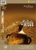 Miracles of Jesus: Six In-depth Studies Connecting the Bible to Life