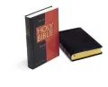 KJV/Amplified Parallel Bible
