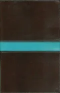 New Men's Devotional Bible, Compact
