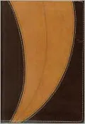 NIV Student Bible, Compact