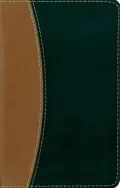 NIV Compact Thinline Reference Bible