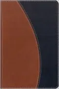 NIV Compact Thinline Bible