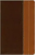 NIV Life Application Study Bible, Personal Size