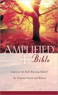 Amplified Bible