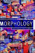 Morphology