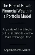 The Role of Private Financial Wealth in a Portfolio Model: A Study of the Effects of Fiscal Deficits on the Real Exchange Rate
