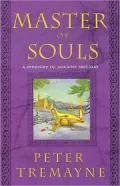 Master of Souls: A Mystery of Ancient Ireland (Sister Fidelma Mystery Series)