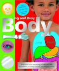 Big & Busy Body
