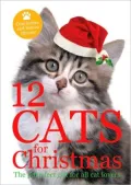 12 Cats for Christmas