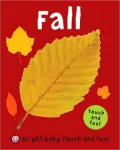 Fall (Bright Baby Touch and Feel Series)