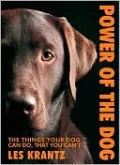 Power of the Dog: Things Your Dog Can Do That You Can't