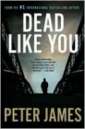 Dead Like You (Roy Grace Series #6)