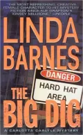 Big Dig (Carlotta Carlyle Series #9)