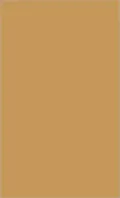 Meaning of Heidegger: A Critical Study of an Existentialist Phenomenology