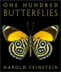 One Hundred Butterflies