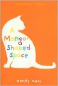 A Mango-Shaped Space