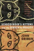 Schrodinger's Kittens And The Search For Reality