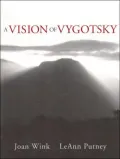A vision of Vygotsky