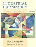 Industrial Organization: Theory and Practice
