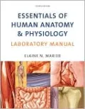 Essentials of Human Anatomy and Physiology Laboratory Manual