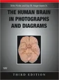 The Human Brain in Photographs and Diagrams with CD-ROM