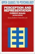 Perception and Representation