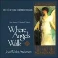 Where Angels Walk: True Stories of Heavenly Visitors