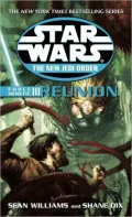 Star Wars The New Jedi Order: Force Heretic III: Reunion