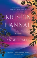 Book cover of Angel Falls