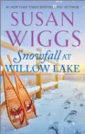 Snowfall at Willow Lake