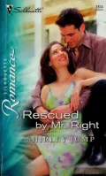 Book cover of Rescued by Mr. Right (Silhouette Romance Series #1834)