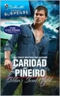 Soldier's Secret Child (Silhouette Romantic Suspense Series #1540)