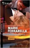 Cavanaugh Judgment (Silhouette Romantic Suspense #1612)