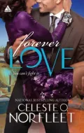 Forever Love (Harlequin Kimani Arabesque Series)