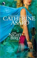 Night Bird