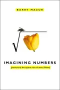Imagining Numbers: Particularly the Square Root of Minus Fifteen